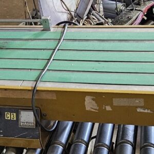 Goldline / Mark Andy 10" 2200 Stacker Conveyor #2451